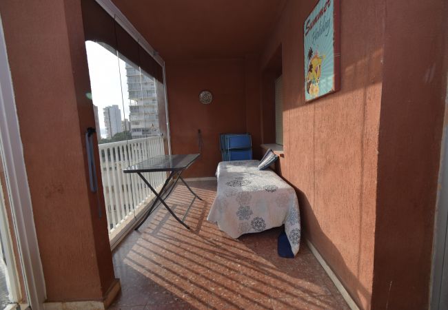 Apartamento en Benidorm - DON PACO  (2 DORMITORIOS) Apartamento en Benidorm - DON PACO  (2 DORMITORIOS)