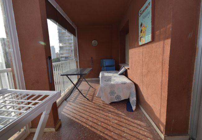 Apartamento en Benidorm - DON PACO  (2 DORMITORIOS) Apartamento en Benidorm - DON PACO  (2 DORMITORIOS)