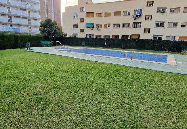 Apartamento en Benidorm - DON PACO  (2 DORMITORIOS) Apartamento en Benidorm - DON PACO  (2 DORMITORIOS)