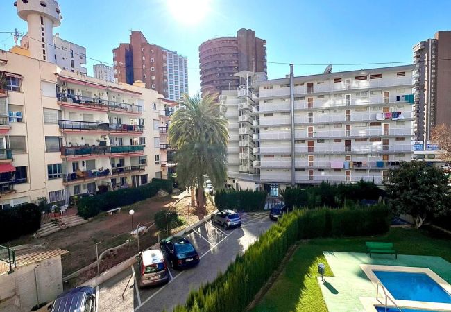 Apartamento en Benidorm - DON PACO  (2 DORMITORIOS) Apartamento en Benidorm - DON PACO  (2 DORMITORIOS)