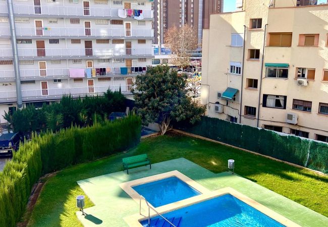Apartamento en Benidorm - DON PACO  (2 DORMITORIOS) Apartamento en Benidorm - DON PACO  (2 DORMITORIOS)