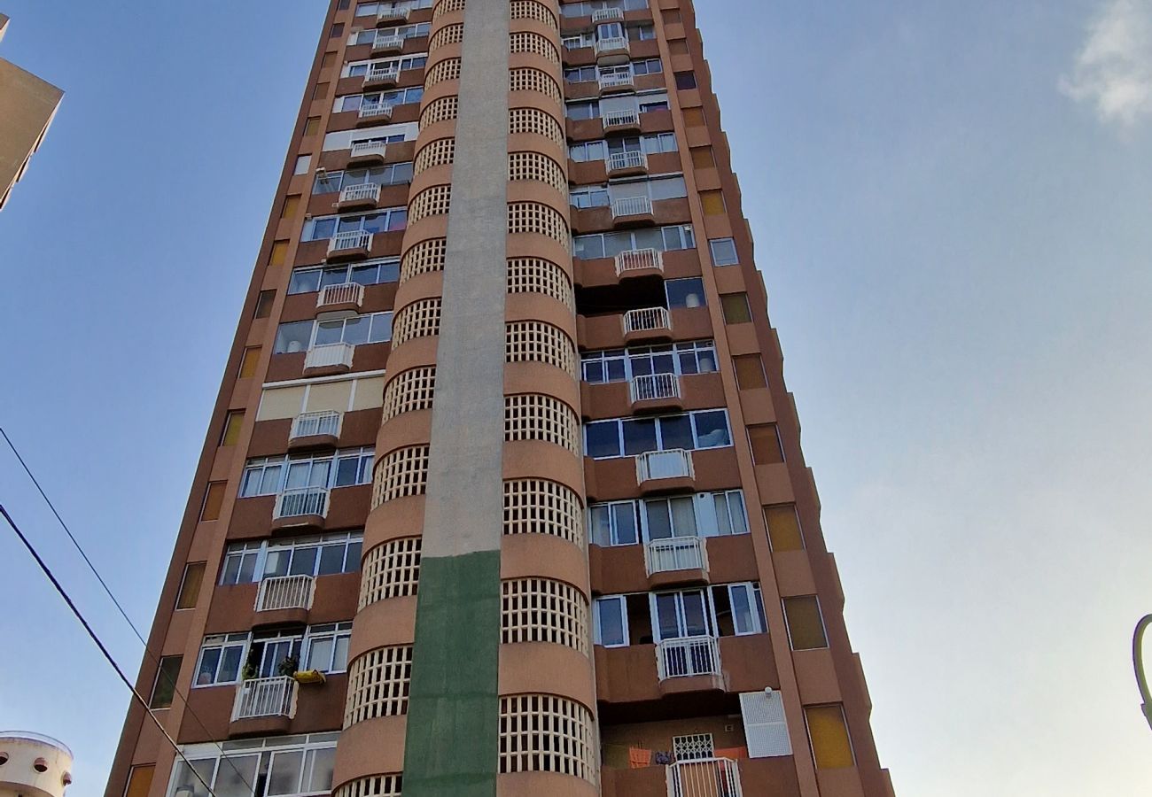 Apartamento en Benidorm - DON PACO  (2 DORMITORIOS)