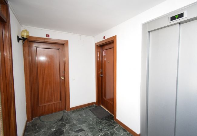 Apartamento en Benidorm - PALMERAS (1 DORMITORIO) SIN TERRAZA