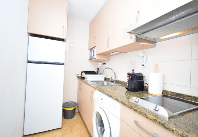 Apartamento en Benidorm - PALMERAS (1 DORMITORIO) SIN TERRAZA Apartamento en Benidorm - PALMERAS (1 DORMITORIO) SIN TERRAZA