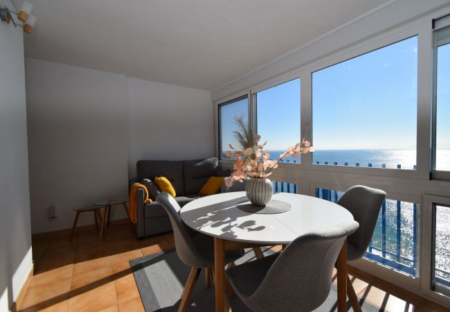 Apartamento en Benidorm - PALMERAS (1 DORMITORIO) SIN TERRAZA Apartamento en Benidorm - PALMERAS (1 DORMITORIO) SIN TERRAZA