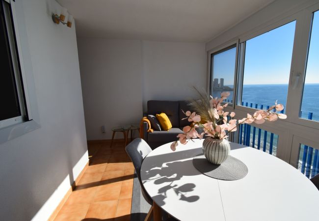 Apartamento en Benidorm - PALMERAS (1 DORMITORIO) SIN TERRAZA