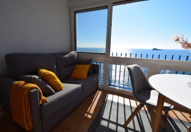 Apartamento en Benidorm - PALMERAS (1 DORMITORIO) SIN TERRAZA Apartamento en Benidorm - PALMERAS (1 DORMITORIO) SIN TERRAZA