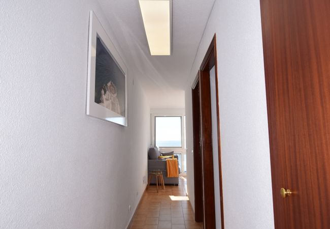 Apartamento en Benidorm - PALMERAS (1 DORMITORIO) SIN TERRAZA