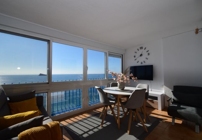 Apartamento en Benidorm - PALMERAS (1 DORMITORIO) SIN TERRAZA Apartamento en Benidorm - PALMERAS (1 DORMITORIO) SIN TERRAZA