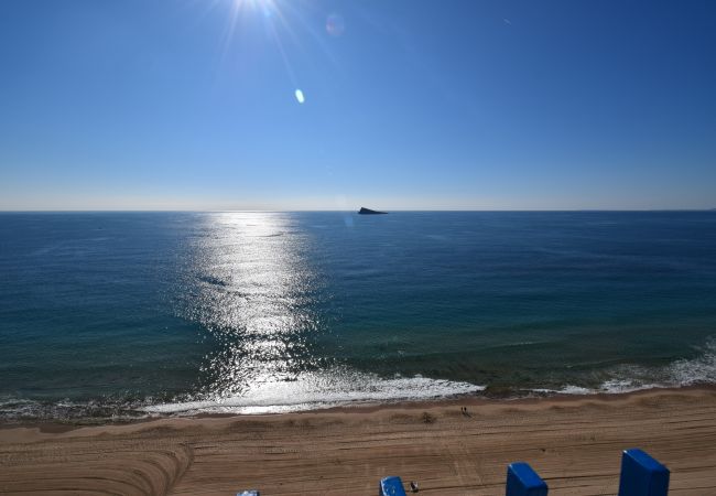 Apartamento en Benidorm - PALMERAS (1 DORMITORIO) SIN TERRAZA