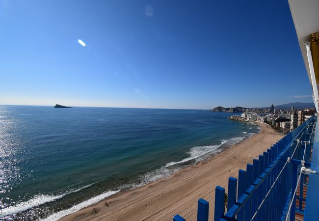 Apartamento en Benidorm - PALMERAS (1 DORMITORIO) SIN TERRAZA Apartamento en Benidorm - PALMERAS (1 DORMITORIO) SIN TERRAZA