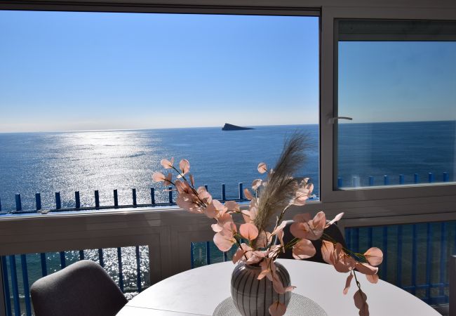 Apartamento en Benidorm - PALMERAS (1 DORMITORIO) SIN TERRAZA