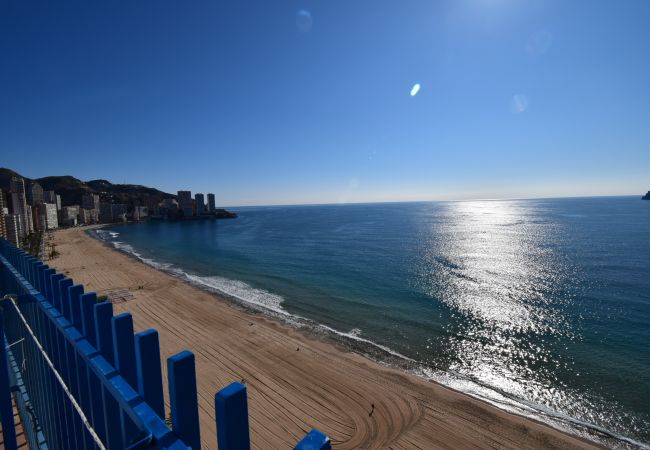 Apartamento en Benidorm - PALMERAS (1 DORMITORIO) SIN TERRAZA