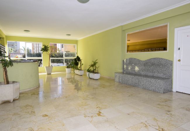 Apartamento en Benidorm - KAROLA (2 DORMITORIOS) BENIDORM Apartamento en Benidorm - KAROLA (2 DORMITORIOS) BENIDORM