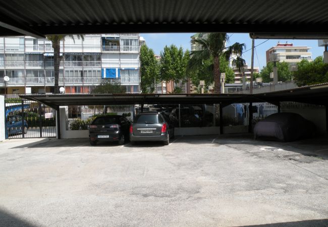 Apartamento en Benidorm - MAR Y VENT - VISTA AL MAR (3 DORMITORIOS)