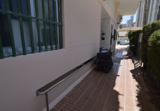 Apartamento en Benidorm - MARISCAL 6 (1 DORMITORIO) Apartamento en Benidorm - MARISCAL 6 (1 DORMITORIO)