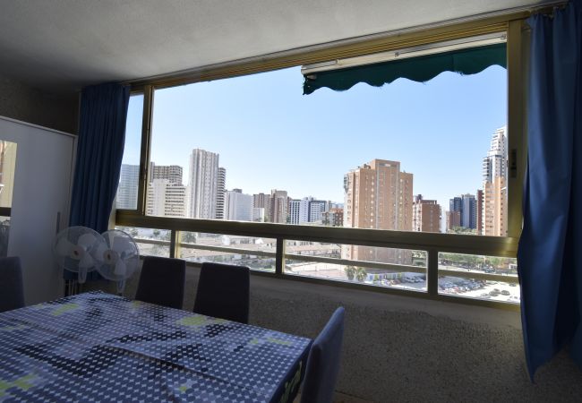 Apartamento en Benidorm - MARISCAL 6 (1 DORMITORIO)