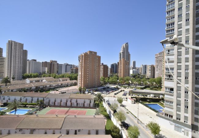 Apartamento en Benidorm - MARISCAL 6 (1 DORMITORIO)