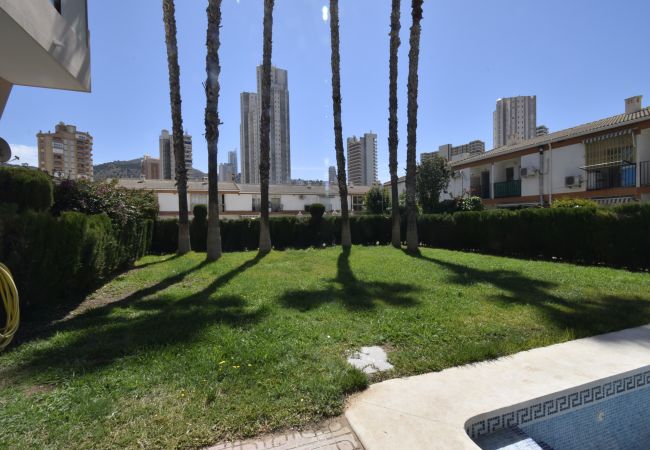 Apartamento en Benidorm - MARISCAL 6 (1 DORMITORIO) Apartamento en Benidorm - MARISCAL 6 (1 DORMITORIO)