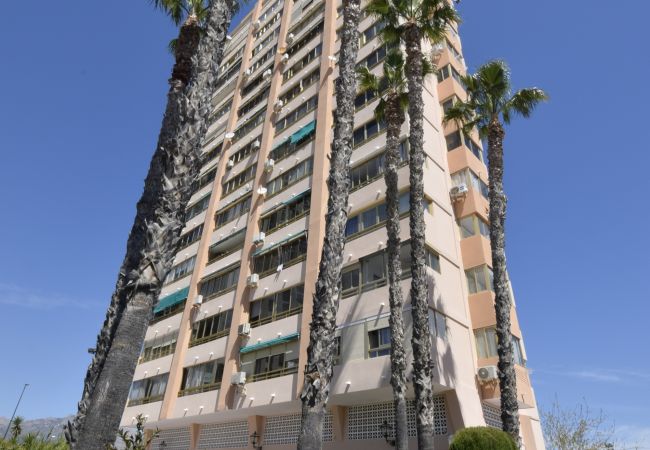 Apartamento en Benidorm - MARISCAL 6 (1 DORMITORIO) Apartamento en Benidorm - MARISCAL 6 (1 DORMITORIO)