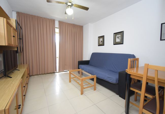 Apartamento en Benidorm - CASTELMAR ( 2 DORMITORIOS) Apartamento en Benidorm - CASTELMAR ( 2 DORMITORIOS)