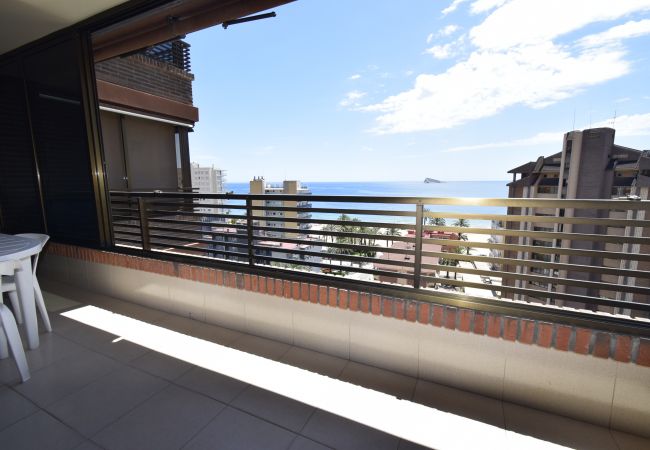 Apartamento en Benidorm - CASTELMAR ( 2 DORMITORIOS) Apartamento en Benidorm - CASTELMAR ( 2 DORMITORIOS)