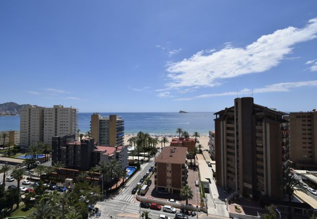 Apartamento en Benidorm - CASTELMAR ( 2 DORMITORIOS) Apartamento en Benidorm - CASTELMAR ( 2 DORMITORIOS)
