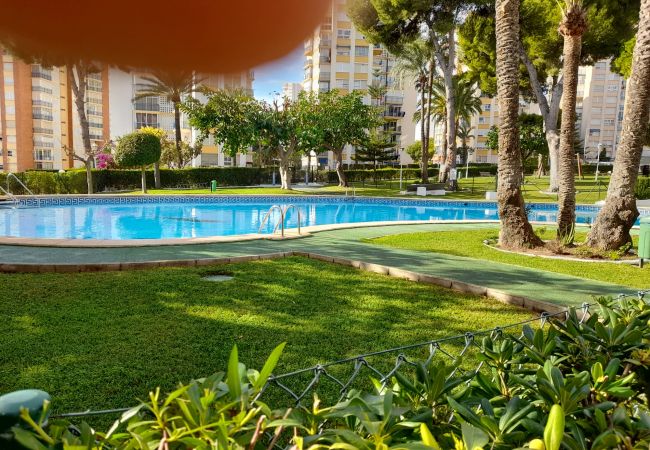 Apartamento en Benidorm - URBANIZACION MIRAMAR (1 DORMITORIO) Apartamento en Benidorm - URBANIZACION MIRAMAR (1 DORMITORIO)