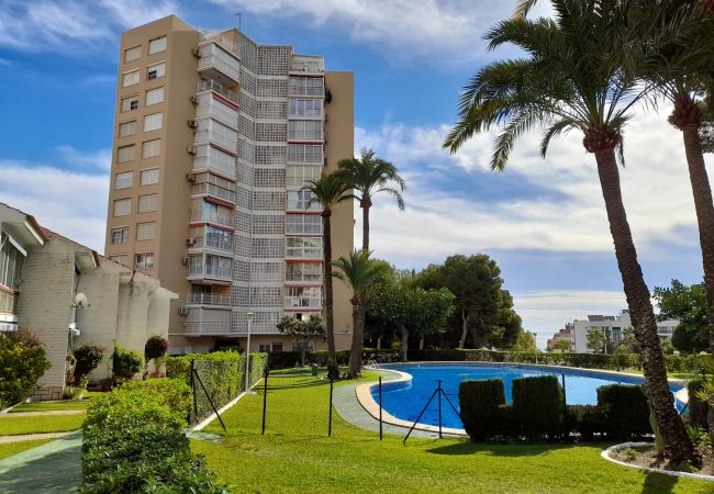 Apartamento en Benidorm - URBANIZACION MIRAMAR (1 DORMITORIO) Apartamento en Benidorm - URBANIZACION MIRAMAR (1 DORMITORIO)