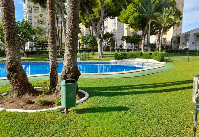 Apartamento en Benidorm - URBANIZACION MIRAMAR (1 DORMITORIO) Apartamento en Benidorm - URBANIZACION MIRAMAR (1 DORMITORIO)