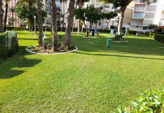 Apartamento en Benidorm - URBANIZACION MIRAMAR (1 DORMITORIO) Apartamento en Benidorm - URBANIZACION MIRAMAR (1 DORMITORIO)