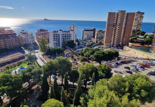 Apartamento en Benidorm - URBANIZACION MIRAMAR (1 DORMITORIO) Apartamento en Benidorm - URBANIZACION MIRAMAR (1 DORMITORIO)