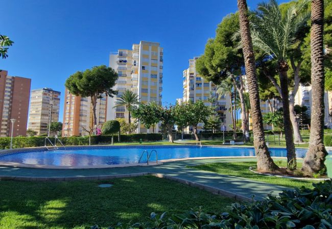 Apartamento en Benidorm - URBANIZACION MIRAMAR (1 DORMITORIO)