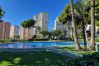 Apartamento en Benidorm - URBANIZACION MIRAMAR (1 DORMITORIO) Apartamento en Benidorm - URBANIZACION MIRAMAR (1 DORMITORIO)