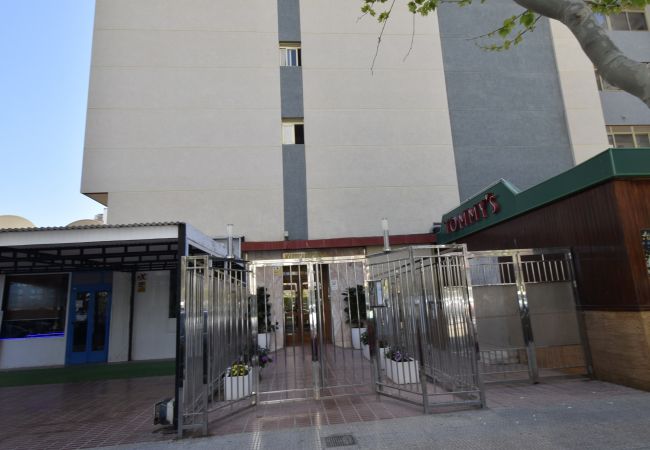 Apartamento en Benidorm - MARISCAL 4 (1 DORMITORIO) Apartamento en Benidorm - MARISCAL 4 (1 DORMITORIO)