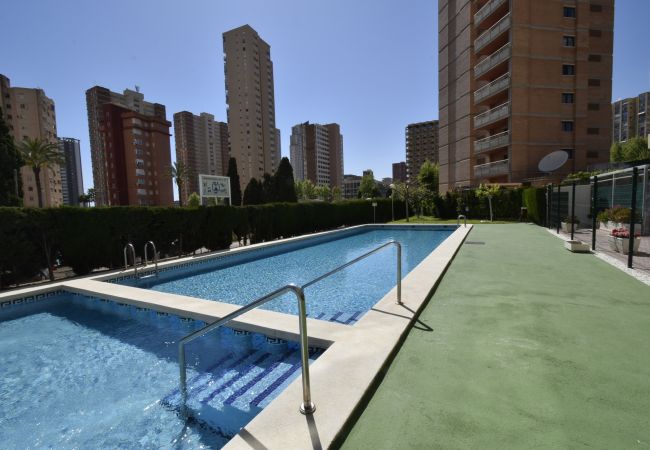 Apartamento en Benidorm - MARISCAL 4 (1 DORMITORIO)