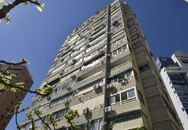 Apartamento en Benidorm - MARISCAL 4 (1 DORMITORIO) Apartamento en Benidorm - MARISCAL 4 (1 DORMITORIO)