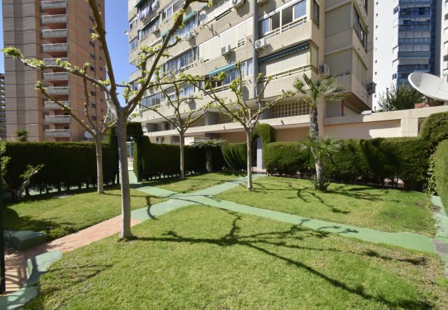 Apartamento en Benidorm - MARISCAL 4 (1 DORMITORIO) Apartamento en Benidorm - MARISCAL 4 (1 DORMITORIO)