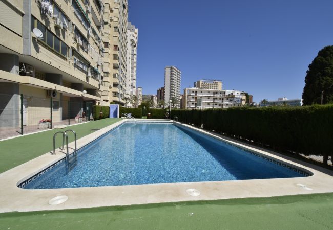 Apartamento en Benidorm - MARISCAL 4 (1 DORMITORIO) Apartamento en Benidorm - MARISCAL 4 (1 DORMITORIO)