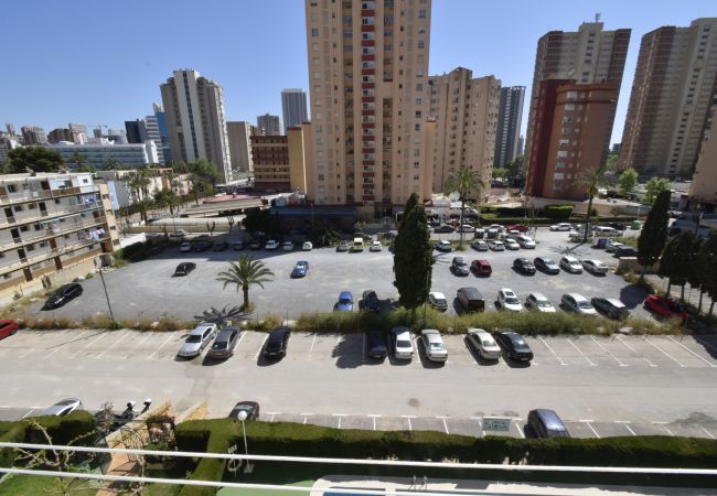 Apartamento en Benidorm - MARISCAL 4 (1 DORMITORIO) Apartamento en Benidorm - MARISCAL 4 (1 DORMITORIO)