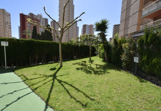 Apartamento en Benidorm - MARISCAL 4 (1 DORMITORIO) Apartamento en Benidorm - MARISCAL 4 (1 DORMITORIO)