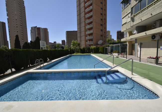 Apartamento en Benidorm - MARISCAL 4 (1 DORMITORIO) Apartamento en Benidorm - MARISCAL 4 (1 DORMITORIO)