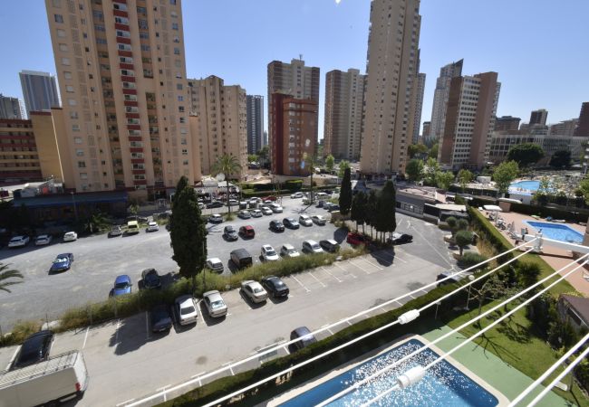 Apartamento en Benidorm - MARISCAL 4 (1 DORMITORIO) Apartamento en Benidorm - MARISCAL 4 (1 DORMITORIO)
