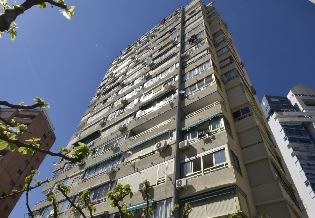 Apartamento en Benidorm - MARISCAL 4 (1 DORMITORIO)