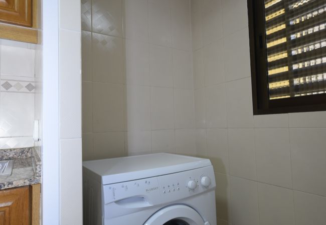 Apartamento en Benidorm - CASTELMAR (1 DORMITORIO) Apartamento en Benidorm - CASTELMAR (1 DORMITORIO)