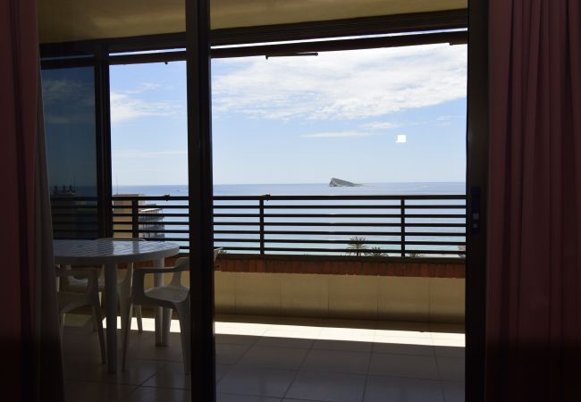 Apartamento en Benidorm - CASTELMAR (1 DORMITORIO) Apartamento en Benidorm - CASTELMAR (1 DORMITORIO)