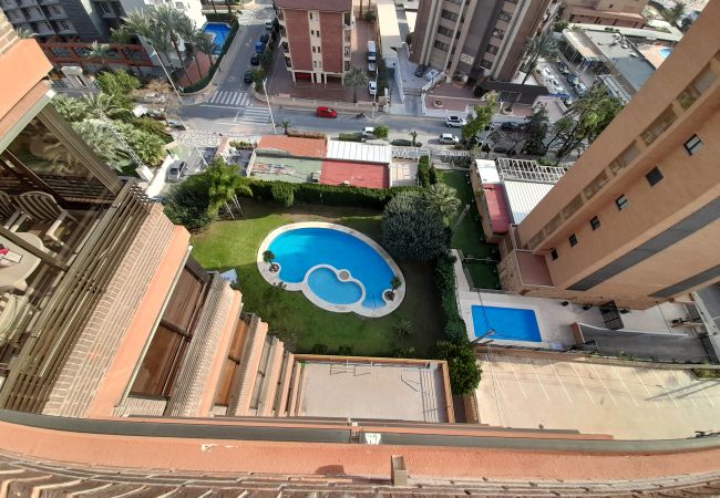 Apartamento en Benidorm - CASTELMAR (1 DORMITORIO) Apartamento en Benidorm - CASTELMAR (1 DORMITORIO)
