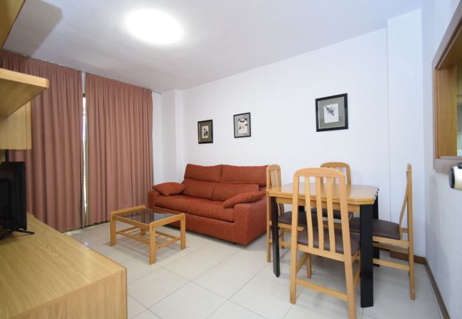 Apartamento en Benidorm - CASTELMAR (1 DORMITORIO) Apartamento en Benidorm - CASTELMAR (1 DORMITORIO)