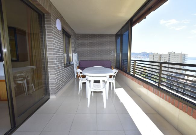 Apartamento en Benidorm - CASTELMAR (1 DORMITORIO) Apartamento en Benidorm - CASTELMAR (1 DORMITORIO)