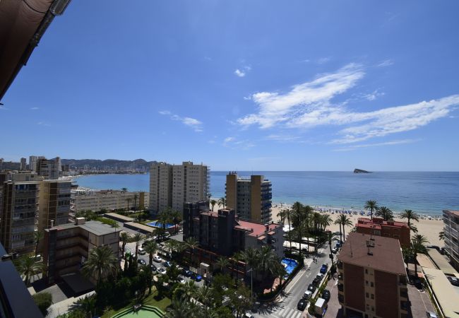 Apartamento en Benidorm - CASTELMAR (1 DORMITORIO) Apartamento en Benidorm - CASTELMAR (1 DORMITORIO)